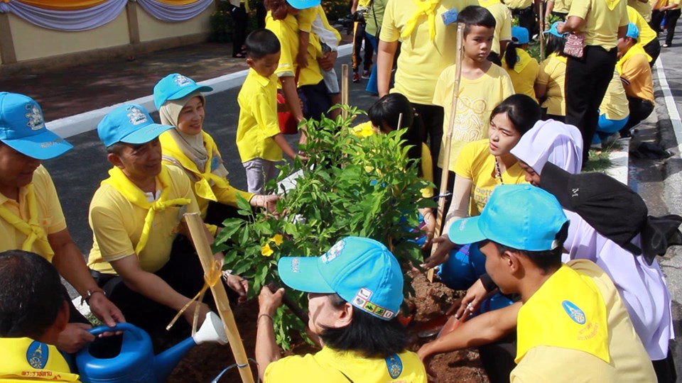 ร่วมปลูกต้นไม้ ตามโครงการ 1 จังหวัด 1 ถนนเฉลิมพระเกียรติ ในพระราชพิธีบรมราชาภิเษก 